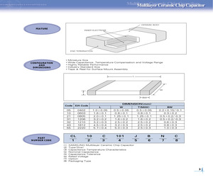 CL10C010BCNC.pdf