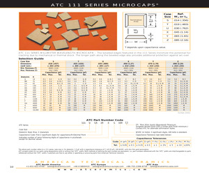 111TEC100M100TT.pdf