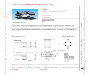 BSM-100G-LF.pdf