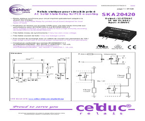 SKA20420.pdf