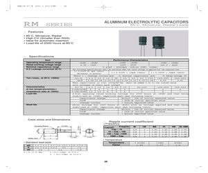 RM1V101MSM.pdf