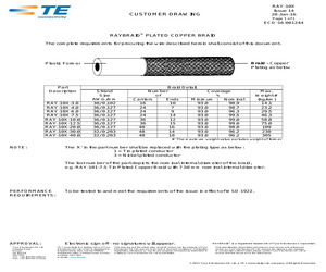 RAY-103-4.0(10).pdf