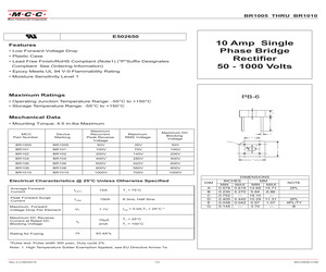 BR101-BP.pdf