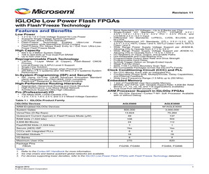 AGLE600V2-FGG484.pdf