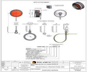 100P160-19-1-C-TC5-03.pdf