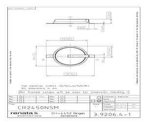 CR2450NSM.pdf