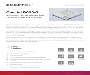 BC95GJB-02-STD.pdf