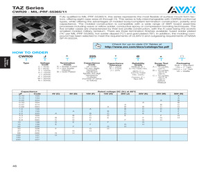 CWR09CW106JBATR13.pdf