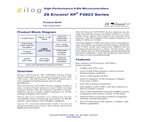 Z8F0423PH005SG2156.pdf