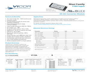 V110A15C300BN2.pdf
