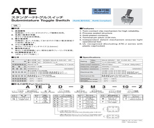 CT-6EV5KOHM(502).pdf