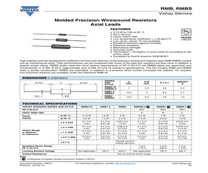 RMB30036500DS09.pdf