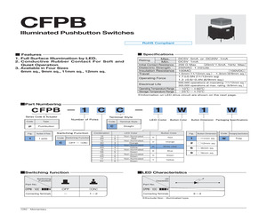 CFPB-1CC-4W2W.pdf