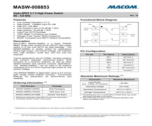 MASW-008853.pdf