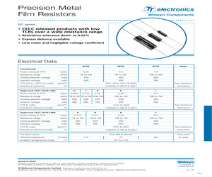 RC55Y-100KBICECC40101-804A.pdf