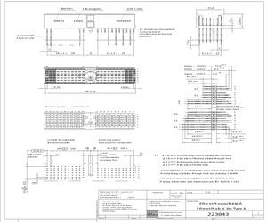 223043.pdf