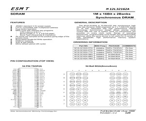 M12L32162A-5TG.pdf