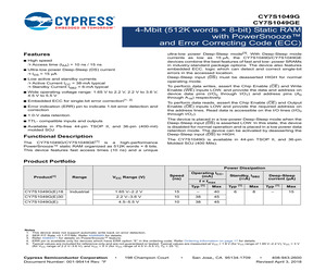 CY7S1049GE30-10VXI.pdf