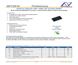 NPT2019.pdf