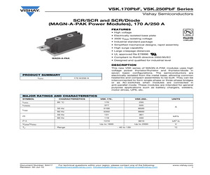 VSKT250-12.pdf