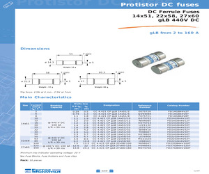 FD22GB44V100T.pdf