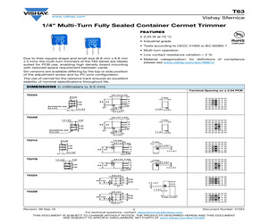 T63YB100KT20.pdf