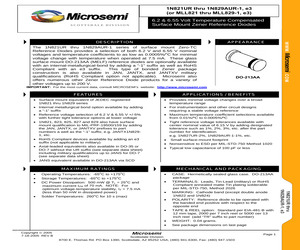 1N821AUR-1-1%.pdf