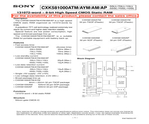 CXK581000AP-55SL.pdf