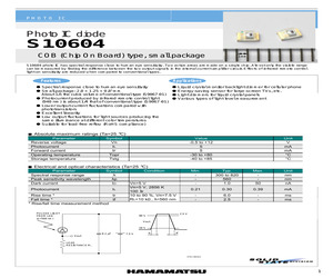 S10604.pdf