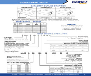 M123A10BPB151FS.pdf