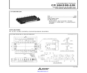 CM10AD00-12H.pdf