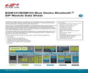 BGM121A256V2.pdf