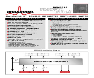 BCM5615.pdf