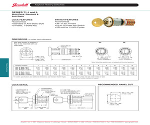 71J30-01-3-03N.pdf