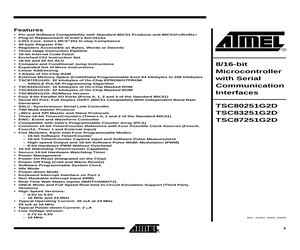 TSC251G1DXXX-24CE.pdf