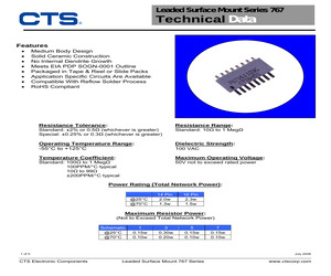 767143100FPTR13.pdf