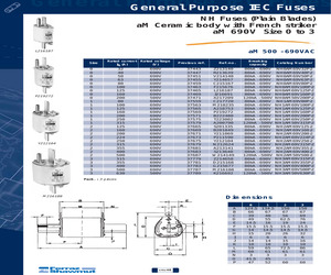 NH0AM69V100P-2.pdf