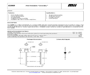 61060-101.pdf