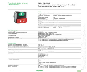 ZB4BL7341.pdf