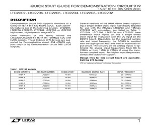 DC919A-E.pdf