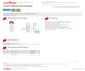 DSS1NB32A223Q55B.pdf