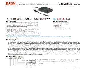 GSM25B07-P1J.pdf