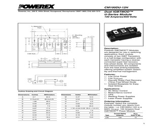 CM100DU-12H.pdf