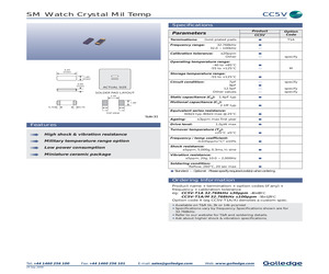 CC5V-T1A/M100.000KHZ30PPM.pdf
