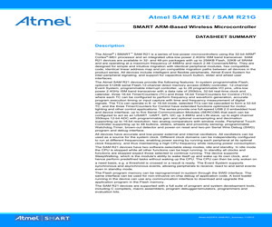 ATSAMR21G18A-MUT.pdf