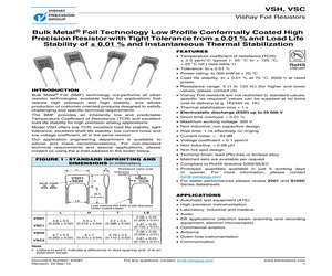 VSC19R1000DB.pdf