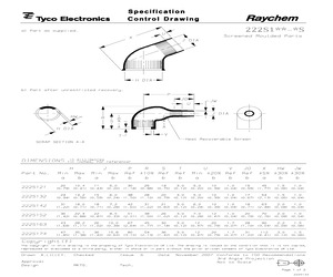 222S152-25S-0.pdf