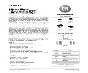 CAT5111VI-00-G.pdf