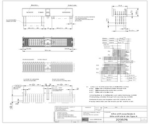 223576.pdf