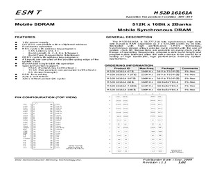 M52D16161A-10TIG.pdf